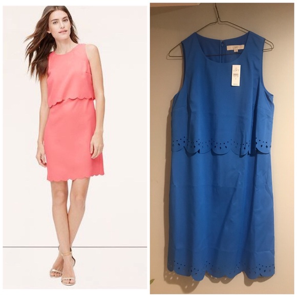 LOFT Dresses & Skirts - Scalloped Dress